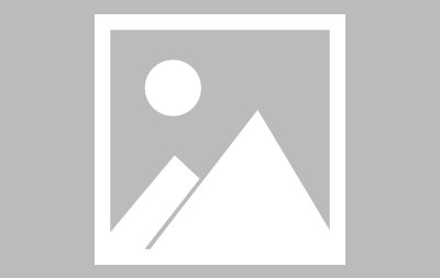 宝威体育-猛龙队球员名单主力